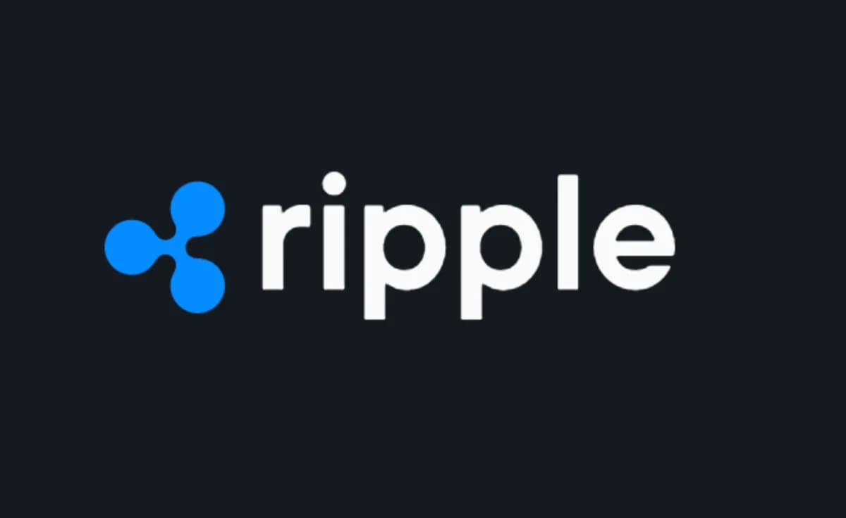 리플, XRPL ‘3.1.3’ 배포…NFT·디파이 오류 잡는다