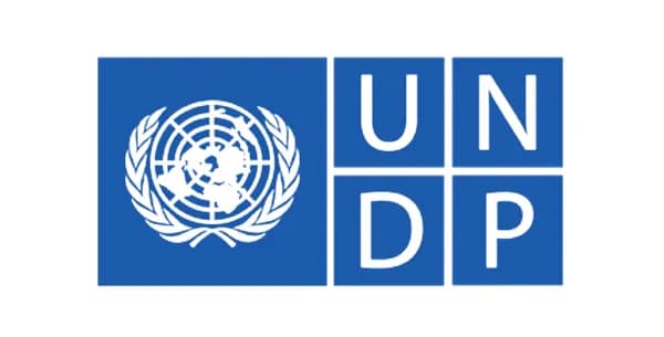 유엔 개발계획(UNDP), ‘블록체인 자문 그룹(BAG)’ 공식 출범… 글로벌 메이저 메인넷 재단 총출동