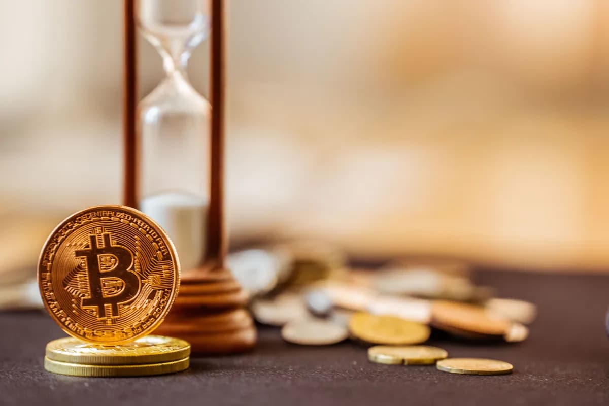 카르다노, ‘레이오스’ 테스트넷 가동…멕시벤처스 “처리량 최대 65배 확장 겨냥” - TokenPost