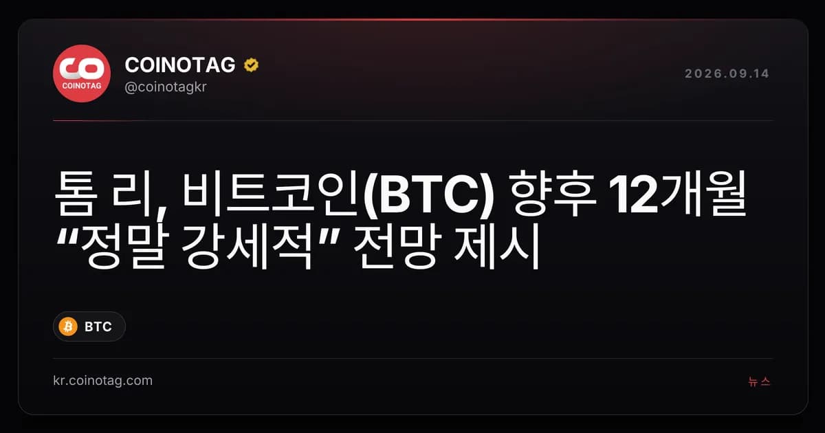 ํฐ ๋ฆฌ, ๋นํธ์ฝ์ธ(BTC) ํฅํ 12๊ฐ์ โ์ ๋ง ๊ฐ์ธ์ โ ์ ๋ง ์ ์