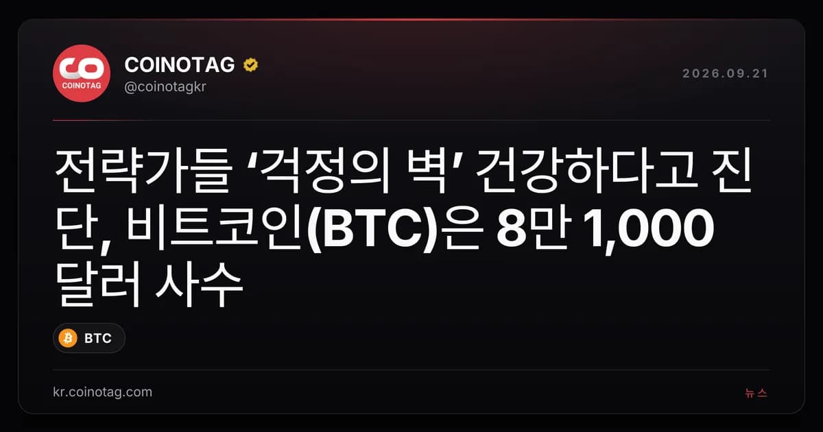 전략가들 ‘걱정의 벽’ 건강하다고 진단, 비트코인(BTC)은 8만 1,000달러 사수