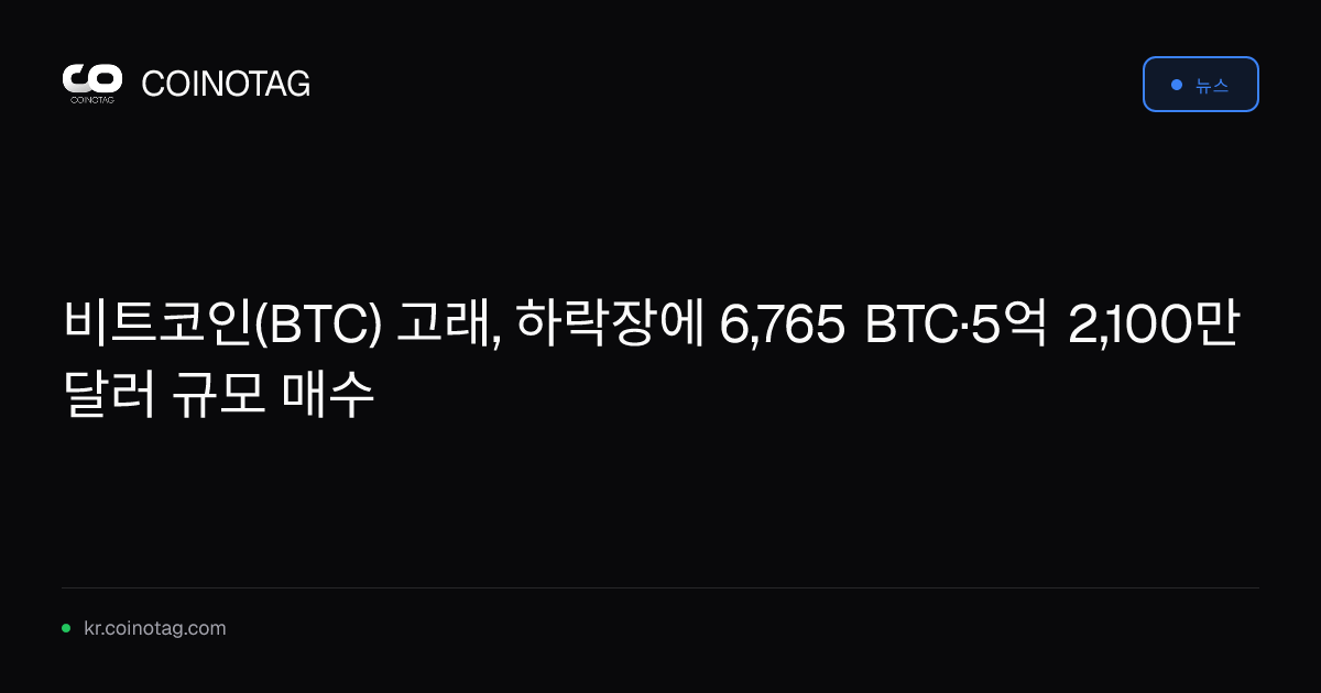 비트코인(BTC) 고래, 하락장에 6,765 BTC·5억 2,100만 달러 규모 매수